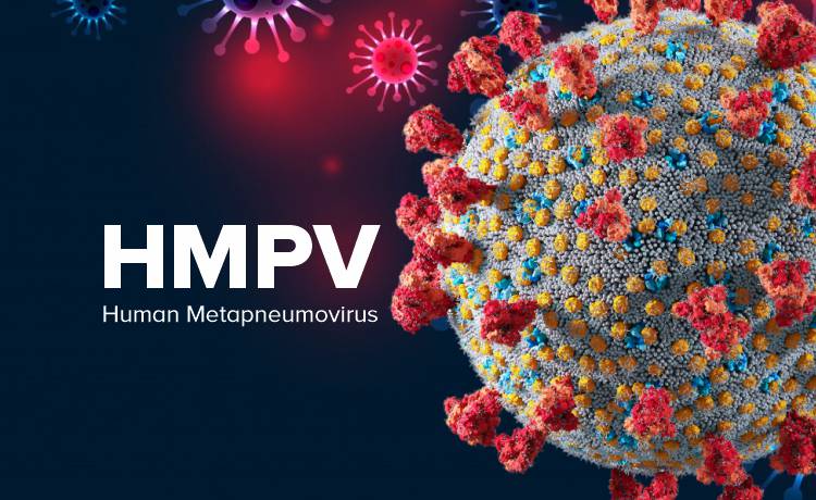 Human Metapneumovirus (hMPV)