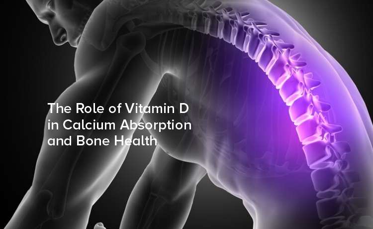 The Role of Vitamin D in Calcium Absorption and Bone Health